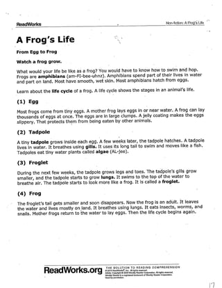 Incoming 4th grade students