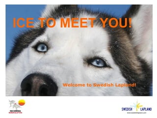 ICE TO MEET YOU!
Welcome to Swedish Lapland!
 