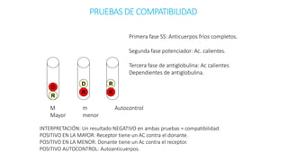 PRUEBASDE COMPATIBILIDAD
M
Mayor
m
menor
Autocontrol
R
D
R
D
R
R
Primera fase SS: Anticuerpos fríos completos.
Segunda fase potenciador: Ac. calientes.
Tercera fase de antiglobulina: Ac calientes
Dependientes de antiglobulina.
INTERPRETACIÓN: Un resultado NEGATIVO en ambas pruebas = compatibilidad.
POSITIVO EN LA MAYOR: Receptor tiene un AC contra el donante.
POSITIVO EN LA MENOR: Donante tiene un Ac contra el receptor.
POSITIVO AUTOCONTROL: Autoanticuerpos.
 