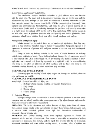 10
DAWN V TOMY M.Pharm.,Asst.Professor,Dept. ofPharmacology, ST.JOSEPH’S COLLEGEOFPHARMACY,CHERTHALA.
Conversion to reactive toxic metabolites.
This mechanism involves metabolic activation to yield ultimate toxin that interacts
with the target cells. The target cells in this group of chemicals may not be the same cell that
metabolised the toxin. Example of cell injury by conversion of reactive metabolites is toxic
liver necrosis caused by carbon tetrachloride (CCl4), acetaminophen (commonly used
analgesic and antipyretic) and bromobenzene. Cell injury by CCl4 is classic example of an
industrial toxin (earlier used in dry-cleaning industry) that produces cell injury by conversion
to a highly toxic free radical, CCl3, in the body’s drug-metabolising P450 enzyme system in
the liver cells. Thus, it produces profound liver cell injury by free radical generation. Other
mechanism of cell injury includes direct toxic effect on cell membrane and nucleus.
Pathogenesis of Physical Injury
Injuries caused by mechanical force are of medicolegal significance. But they may
lead to a state of shock. Radiation injury to human by accidental or therapeutic exposure is of
importance in treatment of persons with malignant tumours as well as may have carcinogenic
influences.
Killing of cells by ionising radiation is the result of direct formation of hydroxyl
radicals from radiolysis of water. These hydroxyl radicals damage the cell membrane as well
as may interact with DNA of the target cell. In proliferating cells, there is inhibition of DNA
replication and eventual cell death by apoptosis (e.g. epithelial cells). In non-proliferating
cells there is no effect of inhibition of DNA synthesis and in these cells there is cell
membrane damage followed by cell death by necrosis (e.g. neurons).
MORPHOLOGY OF CELL INJURY
Depending upon the severity of cell injury, degree of damage and residual effects on
cells and tissues are variable.
MORPHOLOGY OF REVERSIBLE CELL INJURY
Morphologic forms of reversible cell injury are:
1. Hydropic change (cloudy swelling, or vacuolar degeneration)
2. Fatty change
3. Hyaline change
4. Mucoid change
1. Hydropic Change
Hydropic change means accumulation of water within the cytoplasm of the cell. Other
synonyms used are cloudy swelling (for gross appearance of the affected organ) and vacuolar
degeneration (due to cytoplasmic vacuolation).
ETIOLOGY. This is the commonest and earliest form of cell injury from almost all causes.
The common causes include acute and subacute cell injury from various etiologic agents such
as bacterial toxins, chemicals, poisons, burns, high fever, intravenous administration of
hypertonic glucose or saline etc.
PATHOGENESIS. Cloudy swelling results from impaired regulation of sodium and
potassium at the level of cell membrane. This results in intracellular accumulation of sodium
and escape of potassium. This, in turn, leads to rapid flow of water into the cell to maintain
iso-osmotic conditions and hence cellular swelling occurs. In addition, influx of calcium too
 