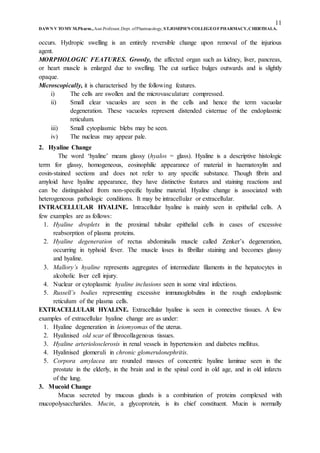 11
DAWN V TOMY M.Pharm.,Asst.Professor,Dept. ofPharmacology, ST.JOSEPH’S COLLEGEOFPHARMACY,CHERTHALA.
occurs. Hydropic swelling is an entirely reversible change upon removal of the injurious
agent.
MORPHOLOGIC FEATURES. Grossly, the affected organ such as kidney, liver, pancreas,
or heart muscle is enlarged due to swelling. The cut surface bulges outwards and is slightly
opaque.
Microscopically, it is characterised by the following features.
i) The cells are swollen and the microvasculature compressed.
ii) Small clear vacuoles are seen in the cells and hence the term vacuolar
degeneration. These vacuoles represent distended cisternae of the endoplasmic
reticulum.
iii) Small cytoplasmic blebs may be seen.
iv) The nucleus may appear pale.
2. Hyaline Change
The word ‘hyaline’ means glassy (hyalos = glass). Hyaline is a descriptive histologic
term for glassy, homogeneous, eosinophilic appearance of material in haematoxylin and
eosin-stained sections and does not refer to any specific substance. Though fibrin and
amyloid have hyaline appearance, they have distinctive features and staining reactions and
can be distinguished from non-specific hyaline material. Hyaline change is associated with
heterogeneous pathologic conditions. It may be intracellular or extracellular.
INTRACELLULAR HYALINE. Intracellular hyaline is mainly seen in epithelial cells. A
few examples are as follows:
1. Hyaline droplets in the proximal tubular epithelial cells in cases of excessive
reabsorption of plasma proteins.
2. Hyaline degeneration of rectus abdominalis muscle called Zenker’s degeneration,
occurring in typhoid fever. The muscle loses its fibrillar staining and becomes glassy
and hyaline.
3. Mallory’s hyaline represents aggregates of intermediate filaments in the hepatocytes in
alcoholic liver cell injury.
4. Nuclear or cytoplasmic hyaline inclusions seen in some viral infections.
5. Russell’s bodies representing excessive immunoglobulins in the rough endoplasmic
reticulum of the plasma cells.
EXTRACELLULAR HYALINE. Extracellular hyaline is seen in connective tissues. A few
examples of extracellular hyaline change are as under:
1. Hyaline degeneration in leiomyomas of the uterus.
2. Hyalinised old scar of fibrocollagenous tissues.
3. Hyaline arteriolosclerosis in renal vessels in hypertension and diabetes mellitus.
4. Hyalinised glomeruli in chronic glomerulonephritis.
5. Corpora amylacea are rounded masses of concentric hyaline laminae seen in the
prostate in the elderly, in the brain and in the spinal cord in old age, and in old infarcts
of the lung.
3. Mucoid Change
Mucus secreted by mucous glands is a combination of proteins complexed with
mucopolysaccharides. Mucin, a glycoprotein, is its chief constituent. Mucin is normally
 