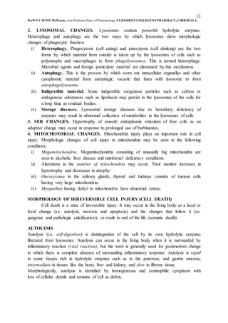 13
DAWN V TOMY M.Pharm.,Asst.Professor,Dept. ofPharmacology, ST.JOSEPH’S COLLEGEOFPHARMACY,CHERTHALA.
2. LYSOSOMAL CHANGES. Lysosomes contain powerful hydrolytic enzymes.
Heterophagy and autophagy are the two ways by which lysosomes show morphologic
changes of phagocytic function.
i) Heterophagy. Phagocytosis (cell eating) and pinocytosis (cell drinking) are the two
forms by which material from outside is taken up by the lysosomes of cells such as
polymorphs and macrophages to form phagolysosomes. This is termed heterophagy.
Microbial agents and foreign particulate material are eliminated by this mechanism.
ii) Autophagy. This is the process by which worn out intracellular organelles and other
cytoplasmic material form autophagic vacuole that fuses with lysosome to form
autophagolysosome.
iii) Indigestible material. Some indigestible exogenous particles such as carbon or
endogenous substances such as lipofuscin may persist in the lysosomes of the cells for
a long time as residual bodies.
iv) Storage diseases. Lysosomal storage diseases due to hereditary deficiency of
enzymes may result in abnormal collection of metabolites in the lysosomes of cells.
3. SER CHANGES. Hypertrophy of smooth endoplasmic reticulum of liver cells as an
adaptive change may occur in response to prolonged use of barbiturates.
4. MITOCHONDRIAL CHANGES. Mitochondrial injury plays an important role in cell
injury. Morphologic changes of cell injury in mitochondria may be seen in the following
conditions:
i) Megamitochondria. Megamitochondria consisting of unusually big mitochondria are
seen in alcoholic liver disease and nutritional deficiency conditions.
ii) Alterations in the number of mitochondria may occur. Their number increases in
hypertrophy and decreases in atrophy.
iii) Oncocytoma in the salivary glands, thyroid and kidneys consists of tumour cells
having very large mitochondria.
iv) Myopathies having defect in mitochondria have abnormal cristae.
MORPHOLOGY OF IRREVERSIBLE CELL INJURY (CELL DEATH)
Cell death is a state of irreversible injury. It may occur in the living body as a local or
focal change (i.e. autolysis, necrosis and apoptosis) and the changes that follow it (i.e.
gangrene and pathologic calcification), or result in end of the life (somatic death).
AUTOLYSIS
Autolysis (i.e. self-digestion) is disintegration of the cell by its own hydrolytic enzymes
liberated from lysosomes. Autolysis can occur in the living body when it is surrounded by
inflammatory reaction (vital reaction), but the term is generally used for postmortem change
in which there is complete absence of surrounding inflammatory response. Autolysis is rapid
in some tissues rich in hydrolytic enzymes such as in the pancreas, and gastric mucosa;
intermediate in tissues like the heart, liver and kidney; and slow in fibrous tissue.
Morphologically, autolysis is identified by homogeneous and eosinophilic cytoplasm with
loss of cellular details and remains of cell as debris.
 