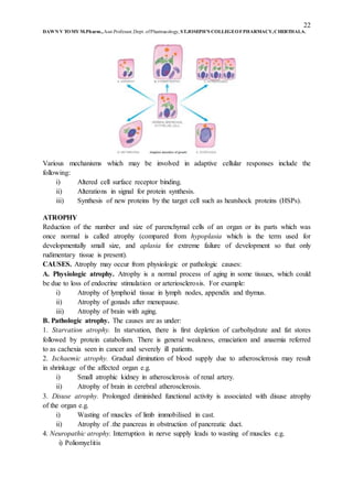 22
DAWN V TOMY M.Pharm.,Asst.Professor,Dept. ofPharmacology, ST.JOSEPH’S COLLEGEOFPHARMACY,CHERTHALA.
Various mechanisms which may be involved in adaptive cellular responses include the
following:
i) Altered cell surface receptor binding.
ii) Alterations in signal for protein synthesis.
iii) Synthesis of new proteins by the target cell such as heatshock proteins (HSPs).
ATROPHY
Reduction of the number and size of parenchymal cells of an organ or its parts which was
once normal is called atrophy (compared from hypoplasia which is the term used for
developmentally small size, and aplasia for extreme failure of development so that only
rudimentary tissue is present).
CAUSES. Atrophy may occur from physiologic or pathologic causes:
A. Physiologic atrophy. Atrophy is a normal process of aging in some tissues, which could
be due to loss of endocrine stimulation or arteriosclerosis. For example:
i) Atrophy of lymphoid tissue in lymph nodes, appendix and thymus.
ii) Atrophy of gonads after menopause.
iii) Atrophy of brain with aging.
B. Pathologic atrophy. The causes are as under:
1. Starvation atrophy. In starvation, there is first depletion of carbohydrate and fat stores
followed by protein catabolism. There is general weakness, emaciation and anaemia referred
to as cachexia seen in cancer and severely ill patients.
2. Ischaemic atrophy. Gradual diminution of blood supply due to atherosclerosis may result
in shrinkage of the affected organ e.g.
i) Small atrophic kidney in atherosclerosis of renal artery.
ii) Atrophy of brain in cerebral atherosclerosis.
3. Disuse atrophy. Prolonged diminished functional activity is associated with disuse atrophy
of the organ e.g.
i) Wasting of muscles of limb immobilised in cast.
ii) Atrophy of .the pancreas in obstruction of pancreatic duct.
4. Neuropathic atrophy. Interruption in nerve supply leads to wasting of muscles e.g.
i) Poliomyelitis
 