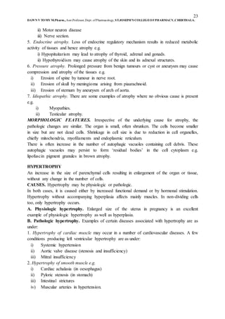 23
DAWN V TOMY M.Pharm.,Asst.Professor,Dept. ofPharmacology, ST.JOSEPH’S COLLEGEOFPHARMACY,CHERTHALA.
ii) Motor neuron disease
iii) Nerve section.
5. Endocrine atrophy. Loss of endocrine regulatory mechanism results in reduced metabolic
activity of tissues and hence atrophy e.g.
i) Hypopituitarism may lead to atrophy of thyroid, adrenal and gonads.
ii) Hypothyroidism may cause atrophy of the skin and its adnexal structures.
6. Pressure atrophy. Prolonged pressure from benign tumours or cyst or aneurysm may cause
compression and atrophy of the tissues e.g.
i) Erosion of spine by tumour in nerve root.
ii) Erosion of skull by meningioma arising from piaarachnoid.
iii) Erosion of sternum by aneurysm of arch of aorta.
7. Idiopathic atrophy. There are some examples of atrophy where no obvious cause is present
e.g.
i) Myopathies.
ii) Testicular atrophy.
MORPHOLOGIC FEATURES. Irrespective of the underlying cause for atrophy, the
pathologic changes are similar. The organ is small, often shrunken. The cells become smaller
in size but are not dead cells. Shrinkage in cell size is due to reduction in cell organelles,
chiefly mitochondria, myofilaments and endoplasmic reticulum.
There is often increase in the number of autophagic vacuoles containing cell debris. These
autophagic vacuoles may persist to form ‘residual bodies’ in the cell cytoplasm e.g.
lipofuscin pigment granules in brown atrophy.
HYPERTROPHY
An increase in the size of parenchymal cells resulting in enlargement of the organ or tissue,
without any change in the number of cells.
CAUSES. Hypertrophy may be physiologic or pathologic.
In both cases, it is caused either by increased functional demand or by hormonal stimulation.
Hypertrophy without accompanying hyperplasia affects mainly muscles. In non-dividing cells
too, only hypertrophy occurs.
A. Physiologic hypertrophy. Enlarged size of the uterus in pregnancy is an excellent
example of physiologic hypertrophy as well as hyperplasia.
B. Pathologic hypertrophy. Examples of certain diseases associated with hypertrophy are as
under:
1. Hypertrophy of cardiac muscle may occur in a number of cardiovascular diseases. A few
conditions producing left ventricular hypertrophy are as under:
i) Systemic hypertension
ii) Aortic valve disease (stenosis and insufficiency)
iii) Mitral insufficiency
2. Hypertrophy of smooth muscle e.g.
i) Cardiac achalasia (in oesophagus)
ii) Pyloric stenosis (in stomach)
iii) Intestinal strictures
iv) Muscular arteries in hypertension.
 