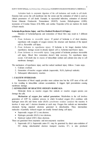 7
DAWN V TOMY M.Pharm.,Asst.Professor,Dept. ofPharmacology, ST.JOSEPH’S COLLEGEOFPHARMACY,CHERTHALA.
Activation leads to enzymatic digestion of the cell inclusions and results in cell death.
Enzymes leak across the cell membrane into the serum and the estimation of which is used as
clinical parameters of cell death. Example, in myocardial infarction, estimation of elevated
Serum Glutamic Oxaloacetic Transaminase (SGOT), Lactate Dehydrogenase (LDH),
isoenzyme of Creatine Kinase (CK-MB), and cardiac Troponins (cTn) are markers for death
of heart muscle.
Ischemia-Reperfusion Injury and Free Radical-Mediated Cell Injury:
Duration of Ischemia/hypoxia and restoration of blood flow may result in 3 different
conditions:
1. From Ischemia to reversible injury: If period of Ischemia is of short duration,
reperfusion with resupply of oxygen restores the structure and functions of the injured
cell i.e. Reversible cell injury.
2. From Ischemia to reperfusion injury: If Ischemia is for longer duration before
reperfusion; damage occurs in already injured cell i.e. Ischemia-reperfusion injury.
3. From Ischemia to irreversible injury: Long period of Ischemia produces irreversible
cell injury. Blood flow restoration doesn’t help recovery. No reperfusion injury
occurs. Cell death due to excess of intracellular sodium and calcium ions (due to cell
membrane damage).
The mechanism of reperfusion injury and free radical mediated injury follows 3 main steps:
1. Calcium overload.
2. Generation of reactive oxygen radicals (superoxide, H2O2, hydroxyl radicals).
3. Subsequent inflammatory reaction.
1. CALCIUM OVERLOAD:
Restoration of blood supply provides more calcium ions but the ATP store of the cell
is low resulting in intracellular calcium accumulation. It triggers lipid peroxidation causing
membrane damage.
2. GENERATION OF REACTIVE OXYGEN RADICALS:
Molecular forms as reactive oxygen free radicals or reactive oxygen species can
damage the cells.
Mechanism of oxygen free radical generation: Metabolism in the cell involves
generation of ATP by oxidative process in which bi-radical oxygen (O2) combines with
hydrogen atom (H) and forms water (H2O) cytochrome oxidase catalyses the reaction. It
involves 4 steps and 1 electron donation at each step. Oxygen free radicals are intermediate
chemicals having unpaired electrons generated in mitochondria. Three intermediate
molecules of partially reduced oxygen are usually formed during cell injury:
 Superoxide oxygen (O’2): one electron.
 Hydrogen peroxide (H2O2): two electrons.
 Hydroxyl radical (OH–): three electrons.
These are generated from enzymatic and non-enzymatic reactions:
1. Superoxide (O’2): Superoxide anion O’2 may be generated by direct auto-oxidation of
O2 during mitochondrial electron transport reaction, O’2 is also produced
 