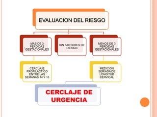 INCOMPETENCIA ITSMICO CERVICAL