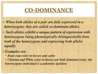 CO-DOMINANCE
 When both alleles of a pair are fully expressed in a
heterozygote, they are called co-dominant alleles.
 Such alleles exhibit a unique pattern of expression with
heterozygous being phenotypically distinguishable from
both of the homozygous and expressing both alleles
equally.
Examples are:
• Roan coat color in horses and cattle
• Chestnut and White color in horses are both dominant traits; the
heterozygous individual is a palomino (golden).
 