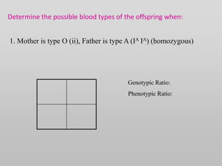 Determine the possible blood types of the offspring when:
1. Mother is type O (ii), Father is type A (IA IA) (homozygous)
Genotypic Ratio:
Phenotypic Ratio:
 