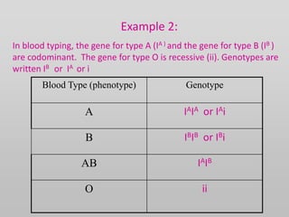 Example 2:
In blood typing, the gene for type A (IA ) and the gene for type B (IB )
are codominant. The gene for type O is recessive (ii). Genotypes are
written IB or IA or i
Blood Type (phenotype) Genotype
A IAIA or IAi
B IBIB or IBi
AB IAIB
O ii
 