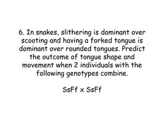 6. In snakes, slithering is dominant over
 scooting and having a forked tongue is
dominant over rounded tongues. Predict
    the outcome of tongue shape and
 movement when 2 individuals with the
      following genotypes combine.

              SsFf x SsFf
 