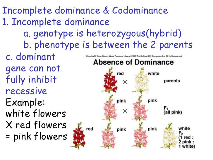 The chromosomal basis of inheritance