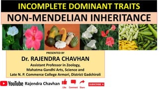 Rajendra Chavhan
NON-MENDELIAN INHERITANCE
PRESENTED BY
Dr. RAJENDRA CHAVHAN
Assistant Professor in Zoology,
Mahatma Gandhi Arts, Science and
Late N. P. Commerce College Armori, District Gadchiroli
INCOMPLETE DOMINANT TRAITS
 