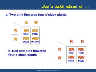 incomplete dominance.pdf