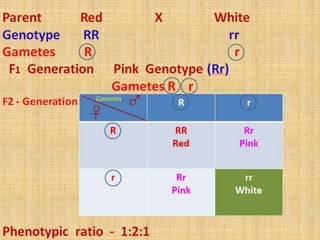 Incomplete Dominance.pptx