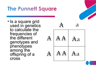 incomplete dominance quarter 2 grade 9 heredity and variationsppt | PPT