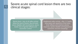 Severe acute spinal cord lesion there are two
clinical stages:
Spinal shock : loss of all reflex activity
below the level of lesion, flaccid limbs,
atonic bladder with incontinence, atonic
bowel, loss of genital reflexes and
vasomotor control
Heightened reflex activity : after 1-2 weeks
associated with spasticity of the limbs,
brisk reflexes and extensor plantar
response, spastic bladder and hyperactive
autonomic function (sweating)
 