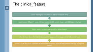 The clinical feature
Below L1 level, the cauda equina will be affected and the patient will have LMN syndrome affecting the leg and
bladder
when it occurs above the level L1 causes spastic paraparesis or tetraparesis at high cervical level
Lesion above C5 cause UMN signs in the arms and legs
Lesion between C5 and T1 cause LMN and sometime UMN signs in the arm and UMN signs in the legs
Lesion affecting the cord below T1 will not involve the arms
 