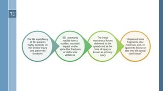 “displaced bone
fragments, disc
materials, and/or
ligaments bruise or
tear into the spinal
cord tissue”
The initial
mechanical forces
delivered to the
spinal cord at the
time of injury is
known as primary
injury
SCI commonly
results from a
sudden, traumatic
impact on the
spine that fractures
or dislocates
vertebrae
The life expectancy
of SCI patients
highly depends on
the level of injury
and preserved
functions
 