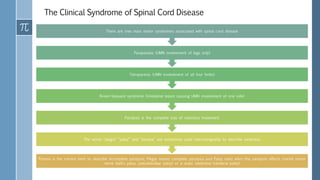 The Clinical Syndrome of Spinal Cord Disease
Paresis is the correct term to describe incomplete paralysis, Plegia means complete paralysis and Palsy used when the paralysis affects cranial motor
nerve (bell’s palsy, pseudobulbar palsy) or a static weakness (cerebral palsy)
The words “plegia” “palsy” and “paresis” are sometimes used interchangeably to describe weakness
Paralysis is the complete loss of voluntary movement
Brown-Sequard syndrome (Unilateral lesion causing UMN involvement of one side)
Tetraparesis (UMN involvement of all four limbs)
Paraparesis (UMN involvement of legs only)
There are tree main motor syndromes associated with spinal cord disease
 