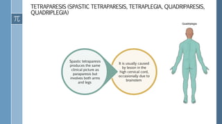 TETRAPARESIS (SPASTIC TETRAPARESIS, TETRAPLEGIA, QUADRIPARESIS,
QUADRIPLEGIA)
It is usually caused
by lesion in the
high cervical cord,
occasionally due to
brainstem
Spastic tetraparesis
produces the same
clinical picture as
paraparesis but
involves both arms
and legs
 