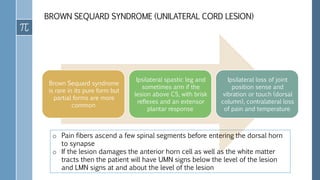 BROWN SEQUARD SYNDROME (UNILATERAL CORD LESION)
Brown Sequard syndrome
is rare in its pure form but
partial forms are more
common
Ipsilateral spastic leg and
sometimes arm if the
lesion above C5, with brisk
reflexes and an extensor
plantar response
Ipsilateral loss of joint
position sense and
vibration or touch (dorsal
column), contralateral loss
of pain and temperature
o Pain fibers ascend a few spinal segments before entering the dorsal horn
to synapse
o If the lesion damages the anterior horn cell as well as the white matter
tracts then the patient will have UMN signs below the level of the lesion
and LMN signs at and about the level of the lesion
 