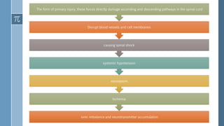 ionic imbalance and neurotransmitter accumulation
Ischemia
vasospasm,
systemic hypotension
causing spinal shock
Disrupt blood vessels and cell membranes
The form of primary injury, these forces directly damage ascending and descending pathways in the spinal cord
 