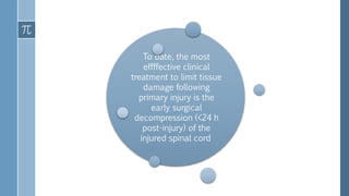 To date, the most
effffective clinical
treatment to limit tissue
damage following
primary injury is the
early surgical
decompression (<24 h
post-injury) of the
injured spinal cord
 