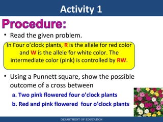 Incomplete Dominance | PPT