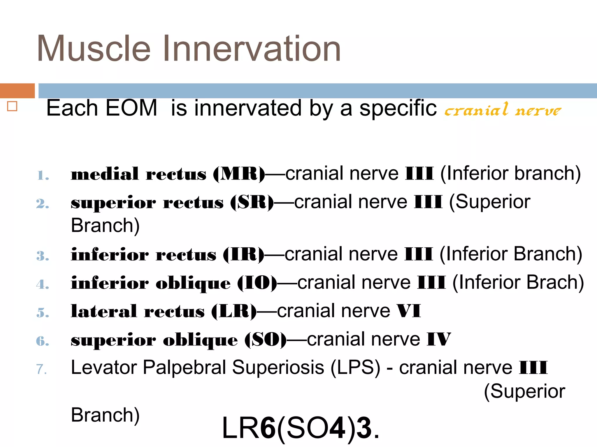 Muscle Innervation
 Each EOM is innervated by a specific cranial nerve
1. medial rectus (MR)—cranial nerve III (Inferior branch)
2. superior rectus (SR)—cranial nerve III (Superior
Branch)
3. inferior rectus (IR)—cranial nerve III (Inferior Branch)
4. inferior oblique (IO)—cranial nerve III (Inferior Brach)
5. lateral rectus (LR)—cranial nerve VI
6. superior oblique (SO)—cranial nerve IV
7. Levator Palpebral Superiosis (LPS) - cranial nerve III
(Superior
Branch)
LR6(SO4)3.
 