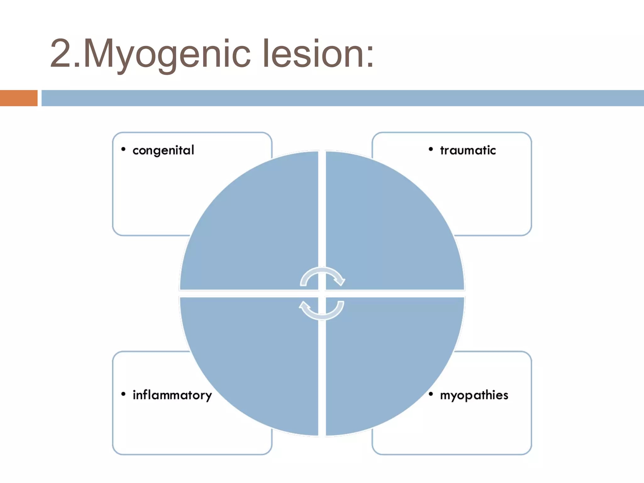 2.Myogenic lesion:
 