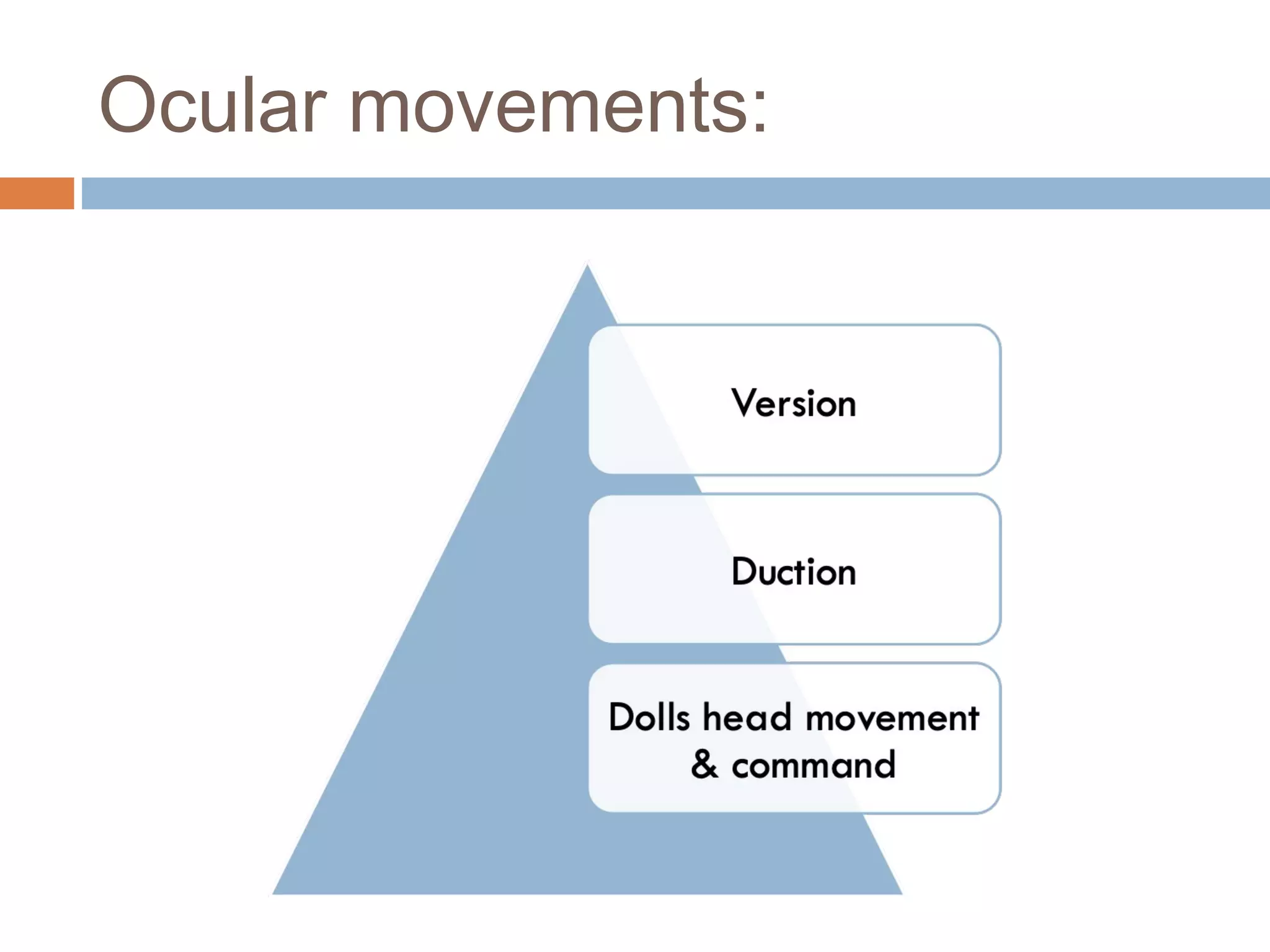 Ocular movements:
 