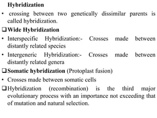 Hybridization
• crossing between two genetically dissimilar parents is
called hybridization.
Wide Hybridization
• Interspecific Hybridization:- Crosses made between
distantly related species
• Intergeneric Hybridization:- Crosses made between
distantly related genera
Somatic hybridization (Protoplast fusion)
• Crosses made between somatic cells
Hybridization (recombination) is the third major
evolutionary process with an importance not exceeding that
of mutation and natural selection.
 