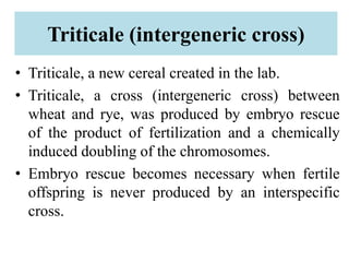 Triticale (intergeneric cross)
• Triticale, a new cereal created in the lab.
• Triticale, a cross (intergeneric cross) between
wheat and rye, was produced by embryo rescue
of the product of fertilization and a chemically
induced doubling of the chromosomes.
• Embryo rescue becomes necessary when fertile
offspring is never produced by an interspecific
cross.
 