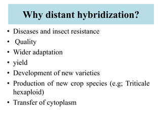 Why distant hybridization?
• Diseases and insect resistance
• Quality
• Wider adaptation
• yield
• Development of new varieties
• Production of new crop species (e.g; Triticale
hexaploid)
• Transfer of cytoplasm
 