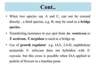Cont..
• When two species say A and C, can not be crossed
directly , a third species, e.g. B, may be used as a bridge
species.
• Transferring resistance to eye spot from Ae. ventricosa to
T. aestivum, T. turgidum is used as a bridge sp.
• Use of growth regulator e.g. IAA, 2,4-D, naphthalene
acetamide N. tabacum does not hybridize with N.
rependa, but this cross is possible when IAA applied to
pedicle of flowers in a lanoline paste.
 