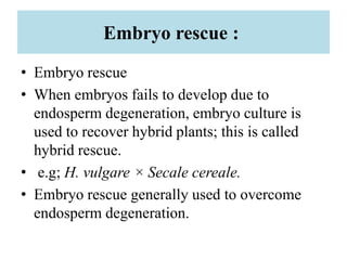 Embryo rescue :
• Embryo rescue
• When embryos fails to develop due to
endosperm degeneration, embryo culture is
used to recover hybrid plants; this is called
hybrid rescue.
• e.g; H. vulgare × Secale cereale.
• Embryo rescue generally used to overcome
endosperm degeneration.
 