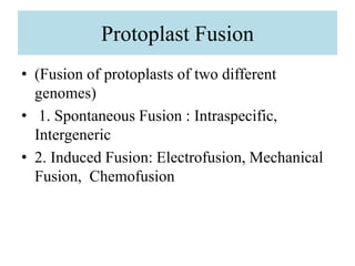 Protoplast Fusion
• (Fusion of protoplasts of two different
genomes)
• 1. Spontaneous Fusion : Intraspecific,
Intergeneric
• 2. Induced Fusion: Electrofusion, Mechanical
Fusion, Chemofusion
 
