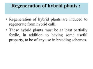 Regeneration of hybrid plants :
• Regeneration of hybrid plants are induced to
regenerate from hybrid calli.
• These hybrid plants must be at least partially
fertile, in addition to having some useful
property, to be of any use in breeding schemes.
 
