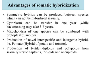 Advantages of somatic hybridization
• Symmetric hybrids can be produced between species
which can not be hybridized sexually.
• Cytoplasm can be transfer in one year ,while
backcrossing may take 5-6 years.
• Mitochondria of one species can be combined with
protoplast of another.
• Production of novel interspecific and intergenic hybrid.
i.e. Pomato (Hybrid of potato and tomato).
• Production of fertile diploids and polypoids from
sexually sterile haploids, triploids and aneuploids
 