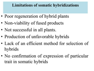 Limitations of somatic hybridizations
• Poor regeneration of hybrid plants
• Non-viability of fused products
• Not successful in all plants.
• Production of unfavorable hybrids
• Lack of an efficient method for selection of
hybrids
• No confirmation of expression of particular
trait in somatic hybrids
 