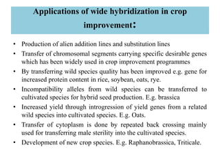 Applications of wide hybridization in crop
improvement:
• Production of alien addition lines and substitution lines
• Transfer of chromosomal segments carrying specific desirable genes
which has been widely used in crop improvement programmes
• By transferring wild species quality has been improved e.g. gene for
increased protein content in rice, soybean, oats, rye.
• Incompatibility alleles from wild species can be transferred to
cultivated species for hybrid seed production. E.g. brassica
• Increased yield through introgression of yield genes from a related
wild species into cultivated species. E.g. Oats.
• Transfer of cytoplasm is done by repeated back crossing mainly
used for transferring male sterility into the cultivated species.
• Development of new crop species. E.g. Raphanobrassica, Triticale.
 