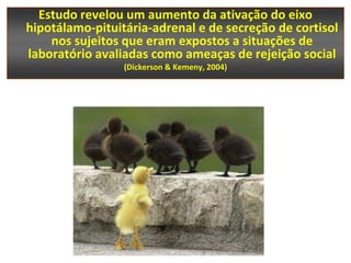 Estudo revelou um aumento da ativação do eixo
hipotálamo-pituitária-adrenal e de secreção de cortisol
    nos sujeitos que eram expostos a situações de
laboratório avaliadas como ameaças de rejeição social
                 (Dickerson & Kemeny, 2004)
 