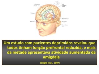 Um estudo com pacientes deprimidos revelou que
 todos tinham função prefrontal reduzida, e mais
 da metade apresentava atividade aumentada da
                   amígdala
                   (Siegle et al., 2007)
 