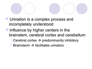 Urination is a complex process and
 incompletely understood
Influence by higher centers in the
 brainstem, cerebral cortex and cerebellum
  Cerebral cortex  predominantly inhibitory
  Brainsterm  facilitates urination
 