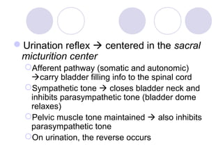 Urination reflex  centered in the sacral
 micturition center
  Afferent pathway (somatic and autonomic)
   carry bladder filling info to the spinal cord
  Sympathetic tone  closes bladder neck and
   inhibits parasympathetic tone (bladder dome
   relaxes)
  Pelvic muscle tone maintained  also inhibits
   parasympathetic tone
  On urination, the reverse occurs
 