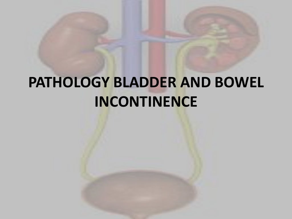 Incontinence bowel and bladder