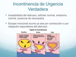Incontinencia de Urgencia
Verdadera
 Inestabilidad del detrusor, esfínter normal, anatomía
normal, ausencia de neuropatía.

 Escape miccional ocurre ya sea por contracción o por
relajación espontánea del detrusor.

 