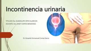 Incontinencia urinaria
TITULAR: Dra. GUADALUPE ORTIZ ALARCON
ADJUNTO: Dra JANET CORTES BENAVIDEZ.
Dr. Eduardo Emmanuel Correa Gazca
 