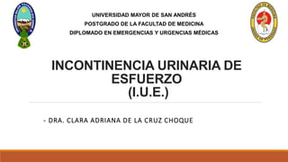 INCONTINENCIA URINARIA DE
ESFUERZO
(I.U.E.)
- DRA. CLARA ADRIANA DE LA CRUZ CHOQUE
UNIVERSIDAD MAYOR DE SAN ANDRÉS
POSTGRADO DE LA FACULTAD DE MEDICINA
DIPLOMADO EN EMERGENCIAS Y URGENCIAS MÉDICAS
 