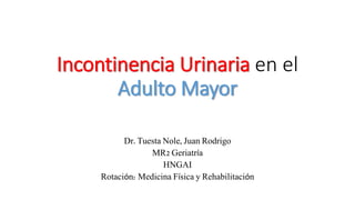 Incontinencia Urinaria en el 
Adulto Mayor 
Dr. Tuesta Nole, Juan Rodrigo 
MR2 Geriatría 
HNGAI 
Rotación: Medicina Física y Rehabilitación 
 